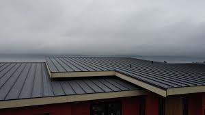 Best Rubber Roofing (EPDM, TPO)  in Monroeville, AL